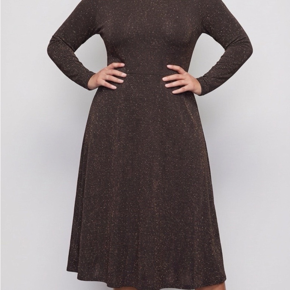 H&M Brown Metallic Long-Sleeve Fit & Flare Dress